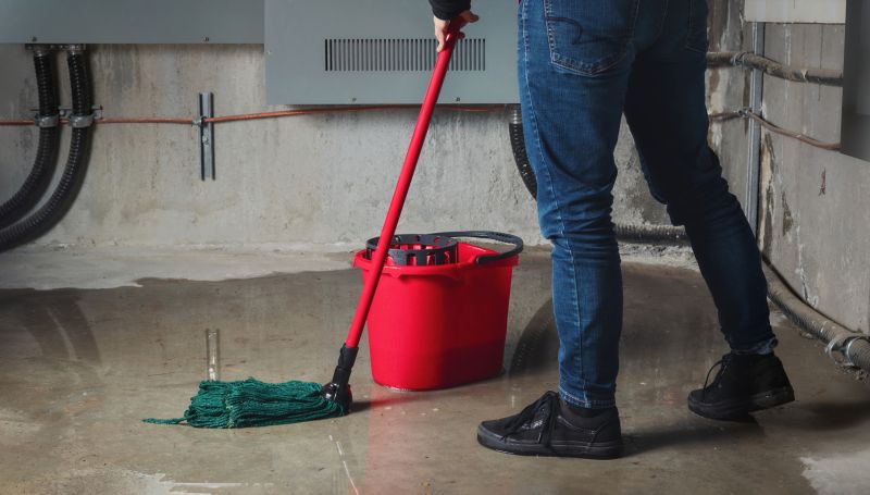 Crawl Space Water Remediation detail