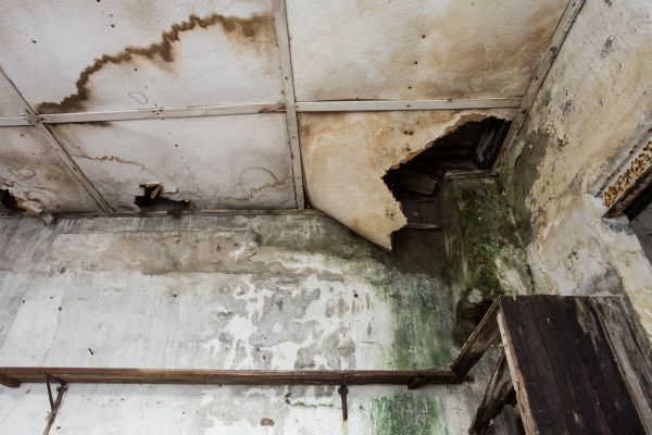Cost of Water Damage Service in Cordova