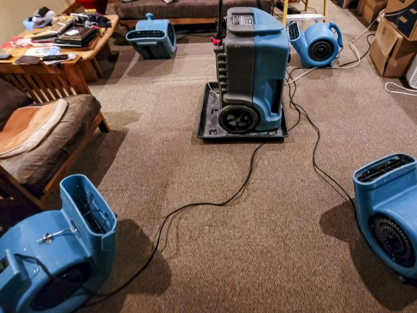 Cost of Flood Damage Recovery in Cordova