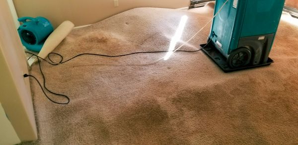 Cost of Flood Damage Cleanup in Cordova
