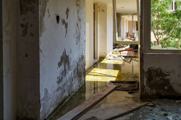 Cost of Water Removal Service in Cordova