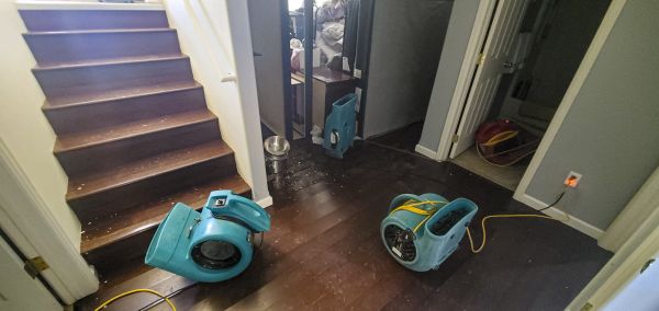 Cost of Water Damage Remediation in Cordova