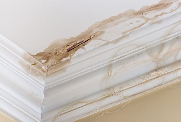 Cost of Water Damage Recovery in Cordova
